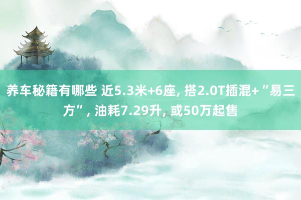 养车秘籍有哪些 近5.3米+6座, 搭2.0T插混+“易三方”, 油耗7.29升, 或50万起售