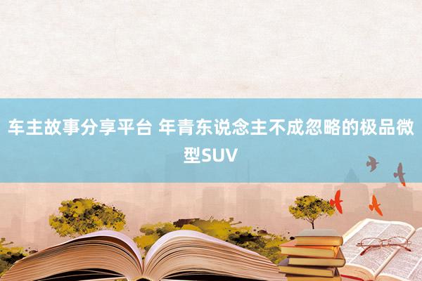 车主故事分享平台 年青东说念主不成忽略的极品微型SUV