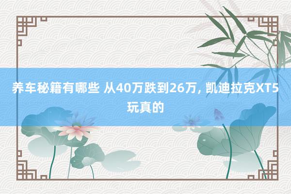 养车秘籍有哪些 从40万跌到26万, 凯迪拉克XT5玩真的