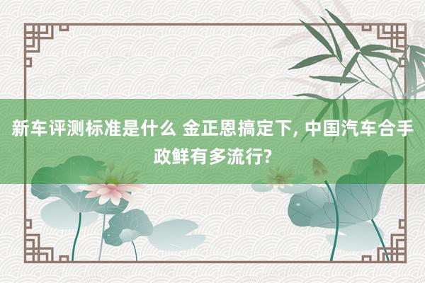 新车评测标准是什么 金正恩搞定下, 中国汽车合手政鲜有多流行?