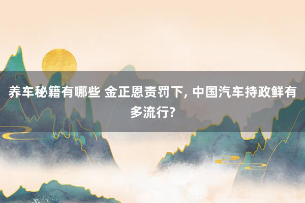 养车秘籍有哪些 金正恩责罚下, 中国汽车持政鲜有多流行?