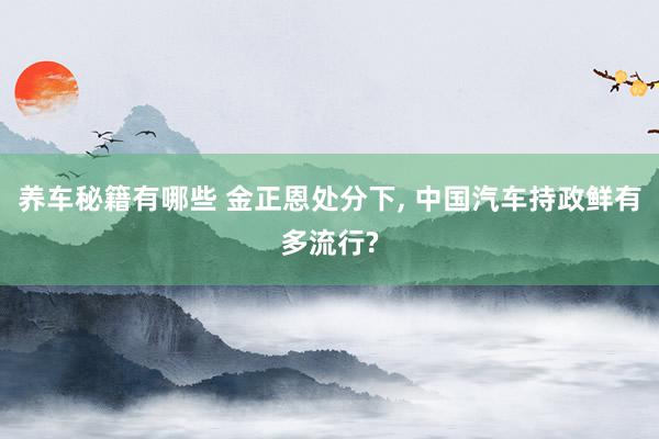 养车秘籍有哪些 金正恩处分下, 中国汽车持政鲜有多流行?