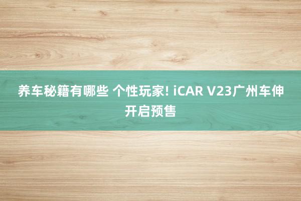 养车秘籍有哪些 个性玩家! iCAR V23广州车伸开启预售