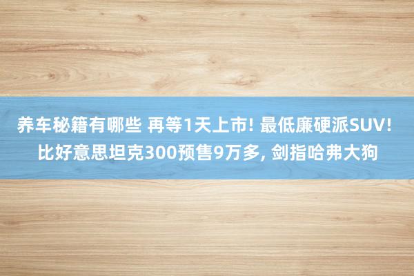 养车秘籍有哪些 再等1天上市! 最低廉硬派SUV! 比好意思坦克300预售9万多, 剑指哈弗大狗