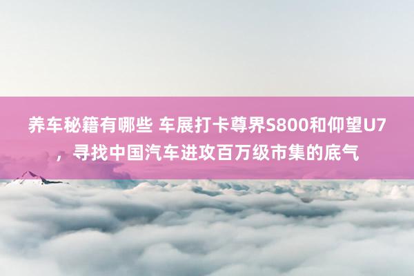 养车秘籍有哪些 车展打卡尊界S800和仰望U7，寻找中国汽车进攻百万级市集的底气