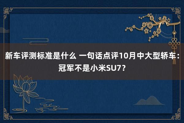 新车评测标准是什么 一句话点评10月中大型轿车：冠军不是小米SU7？