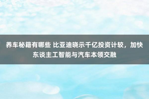 养车秘籍有哪些 比亚迪晓示千亿投资计较，加快东谈主工智能与汽车本领交融