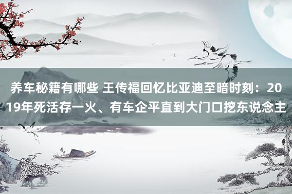 养车秘籍有哪些 王传福回忆比亚迪至暗时刻：2019年死活存一火、有车企平直到大门口挖东说念主