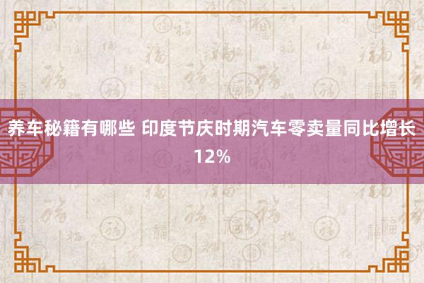 养车秘籍有哪些 印度节庆时期汽车零卖量同比增长12%