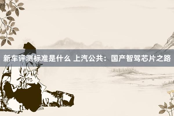 新车评测标准是什么 上汽公共：国产智驾芯片之路