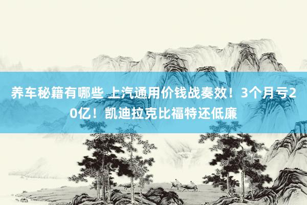 养车秘籍有哪些 上汽通用价钱战奏效！3个月亏20亿！凯迪拉克比福特还低廉