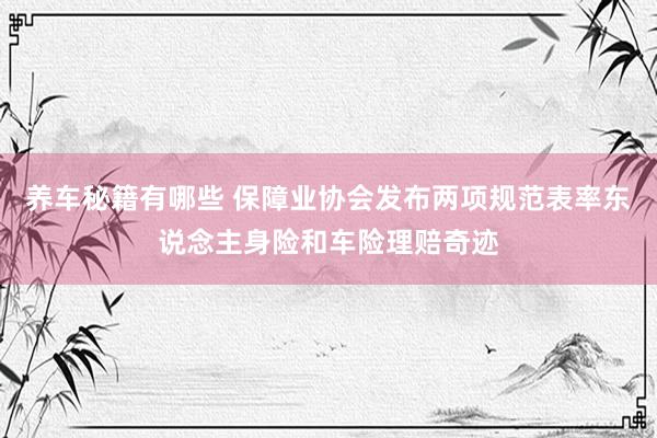 养车秘籍有哪些 保障业协会发布两项规范表率东说念主身险和车险理赔奇迹