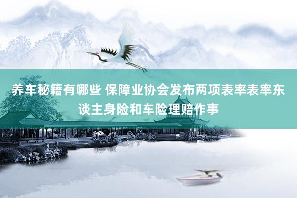 养车秘籍有哪些 保障业协会发布两项表率表率东谈主身险和车险理赔作事