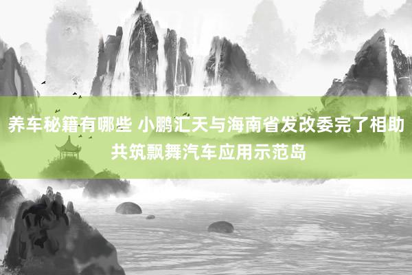 养车秘籍有哪些 小鹏汇天与海南省发改委完了相助 共筑飘舞汽车应用示范岛