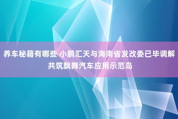 养车秘籍有哪些 小鹏汇天与海南省发改委已毕调解 共筑飘舞汽车应用示范岛