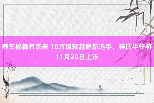 养车秘籍有哪些 10万级轻越野新选手，祥瑞牛仔将11月20日上市