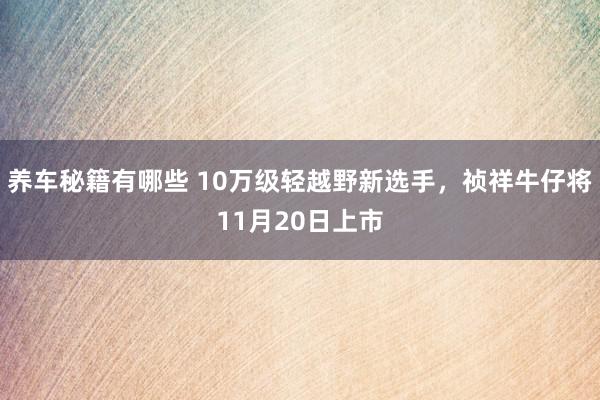 养车秘籍有哪些 10万级轻越野新选手，祯祥牛仔将11月20日上市