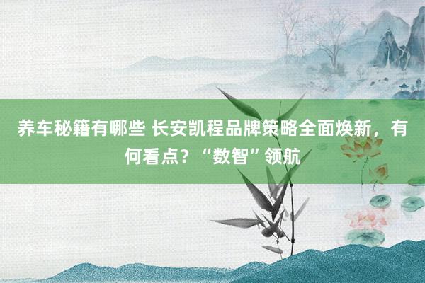 养车秘籍有哪些 长安凯程品牌策略全面焕新，有何看点？“数智”领航